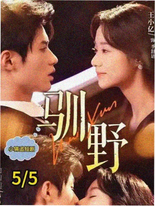 523影视网图鉴收录剧集竖版海报
